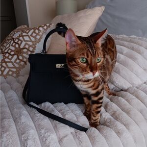 Chic Black Leather Handbag